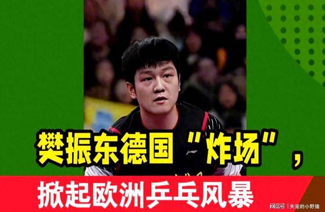 九游VIP-法国乒乓球队血洗德国乒乓球队，樊振东送出助攻的简单介绍