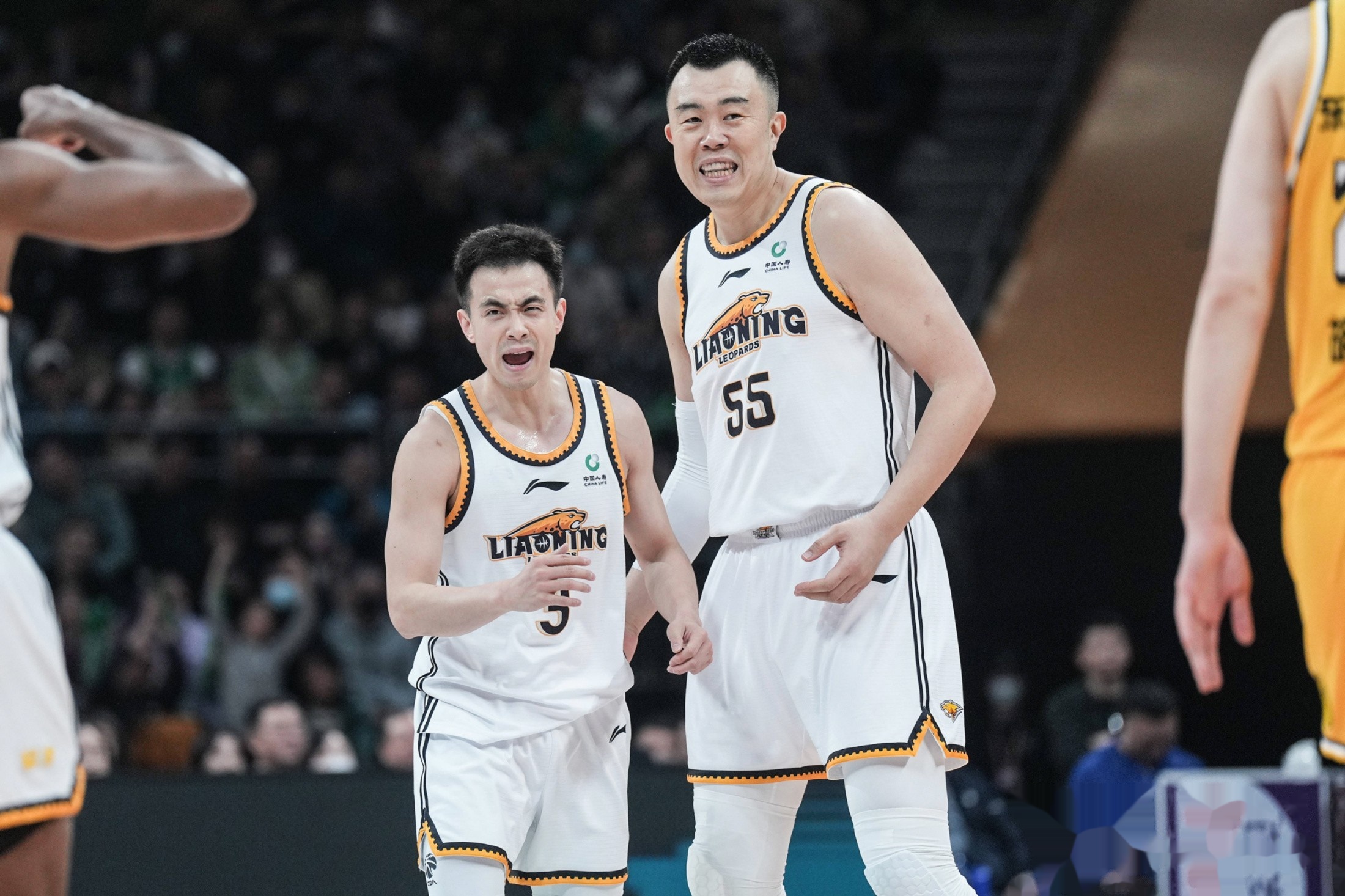 辽宁队完胜天津队,陶汉林扛起全队 辽宁队完胜天津队,陶汉林扛起全队