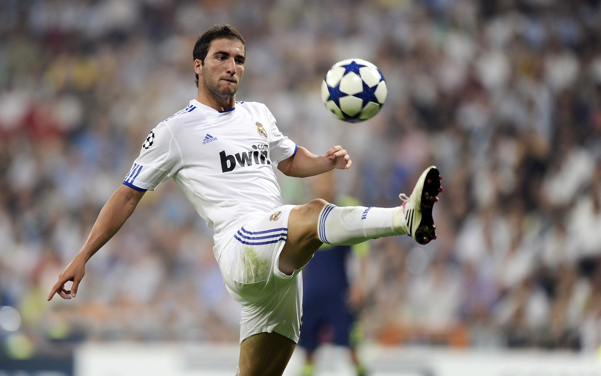 孤鹰掠北境，当东契奇成为关键先生，森林狼的宿命与新时代的序章