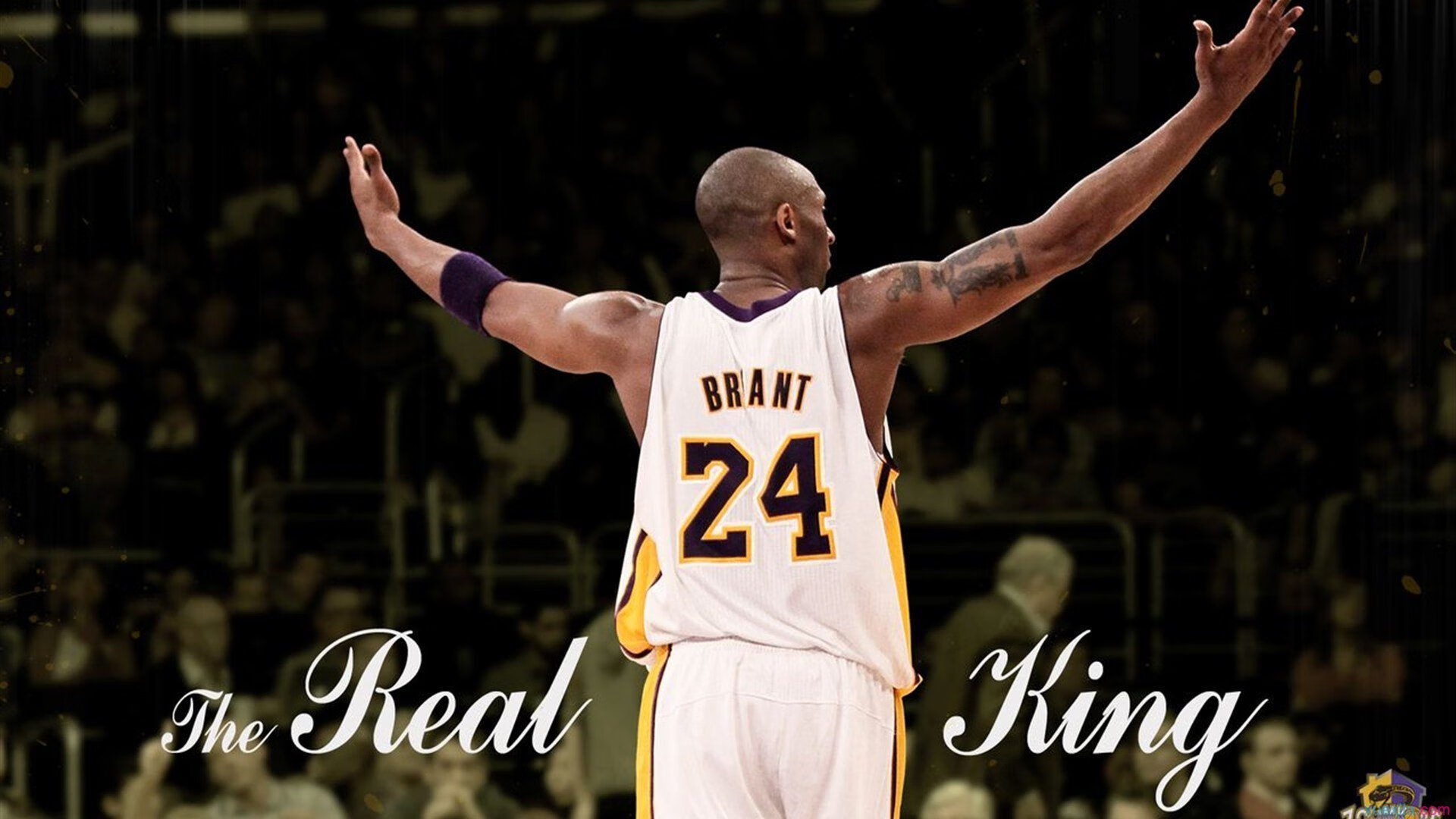 九游游戏-年度焦点之战之夜，德里赫特关键回合不手软，铁血防线定乾坤